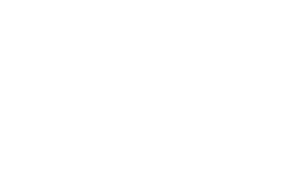 vidus išorė ir tvora