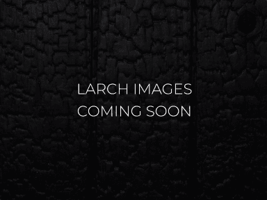 Aligator coming soon