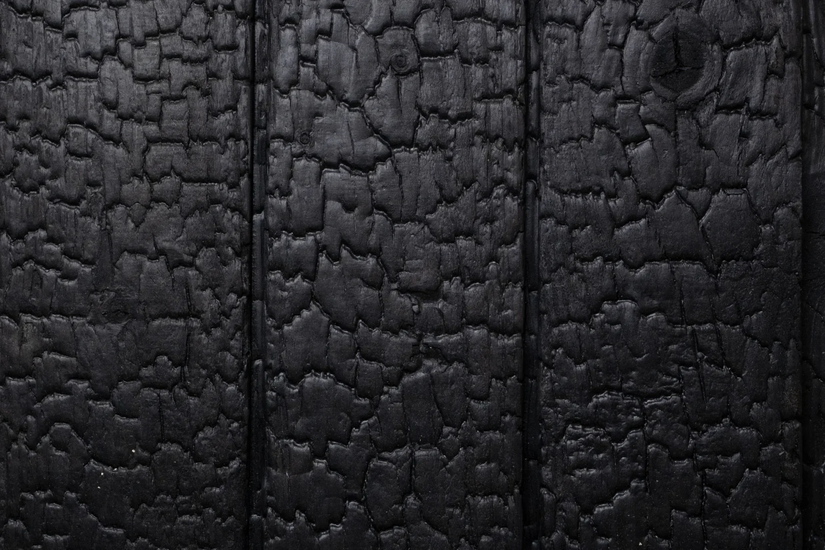 Aligator Shou sugi ban atspalviai šalia vienas kito