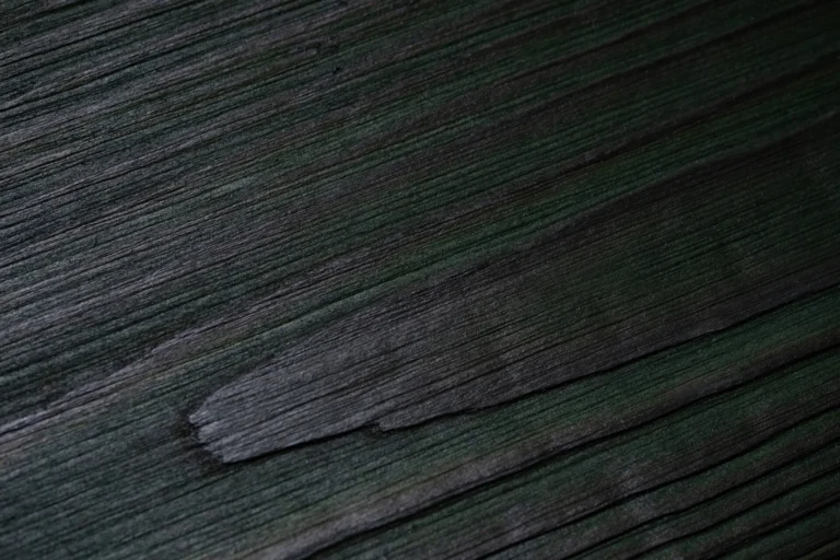 Dark Green Shou sugi ban atspalvio tekstūra