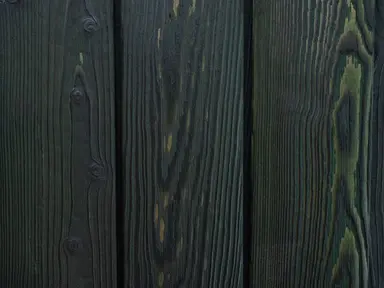 DARK GREEN atspalvis maumedis