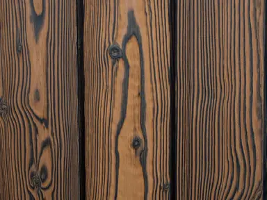 HEMLOCK atspalvis maumedis