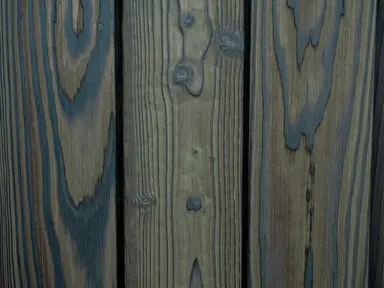 LIGHT PISTACIO atspalvis maumedis