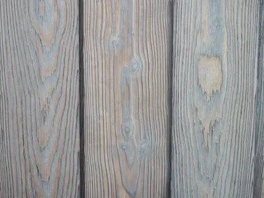 WHITE atspalvis maumedis